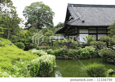 Both feet Garden 11108799