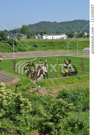 Rice field art Rice field art 11108887