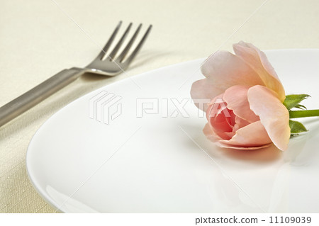 Dishes, dishes, forks and knives 11109039