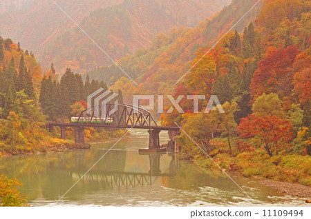 The fourth bridge of Tadami River in autumnal leaves The fourth bridge of Tadami River in autumnal leaves 11109494