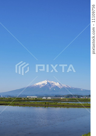 Aomori prefecture, Iwaki mountain and paddy field 11109756