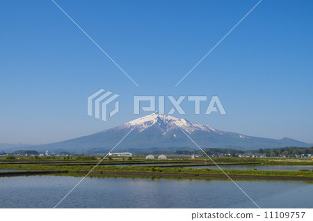 Aomori prefecture, Iwaki mountain and paddy field 11109757