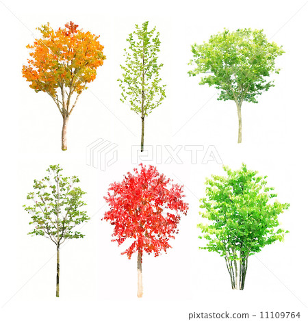 Watercolor tree 6 points 11109764