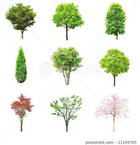 Watercolor tree 9 points 11109765