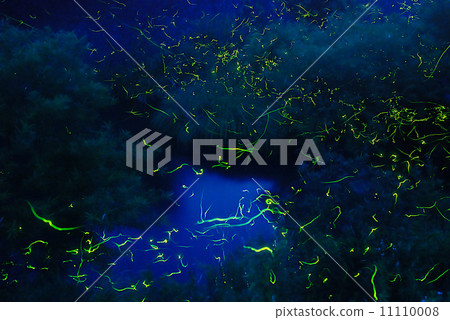 Genji firefly Genji firefly 11110008