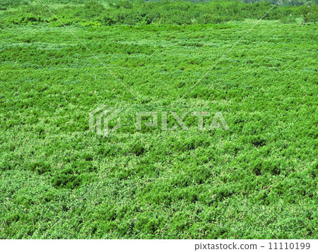 Mt. Hakedake Mt. Hakedake 11110199