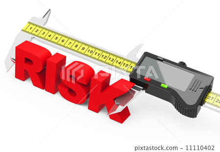 risk management 11110402