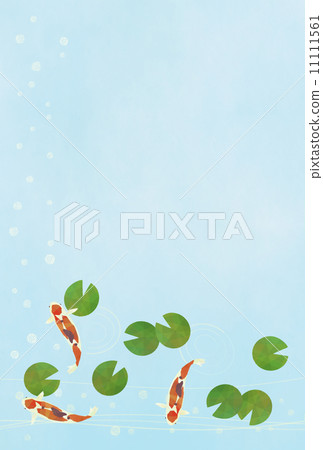 Hot summertime - Nishikigoi - Vertical 11111561