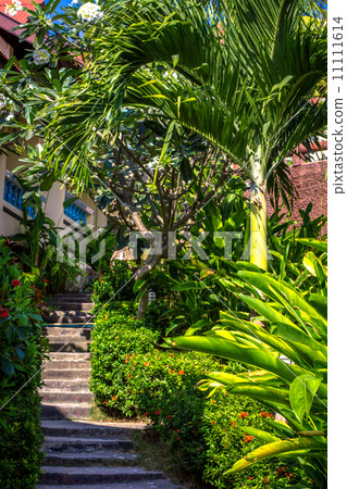 View on resort stairs from one side with palm and sky. Koh Phangan View on resort stairs from one side with palm and sky. Koh Phangan 11111614