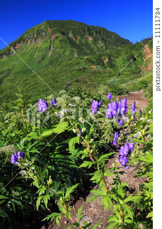 Torikabuto and Naeba mountain 11111784