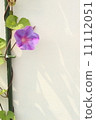 Morning 11112051