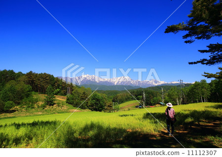 Vast prairie overlooking the North Alps Vast prairie overlooking the North Alps 11112307