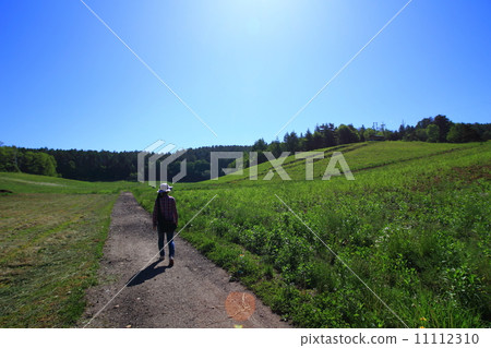 A woman walking along the path of a meadow 11112310