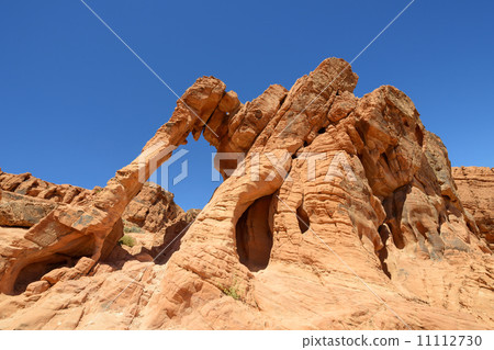 Elephant Rock 11112730
