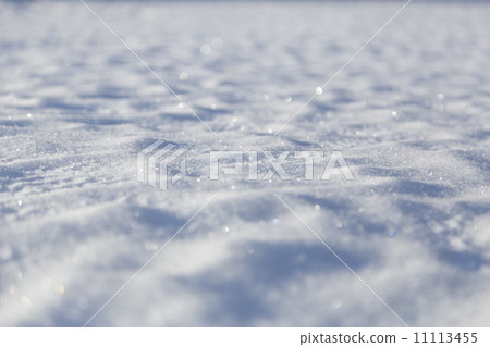 雪地 11113455