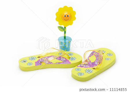 Cool flip-flops on a white background. 11114855