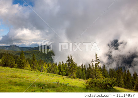 Majestic fog and clouds in the  Mountain valley landscape - gree 11114957