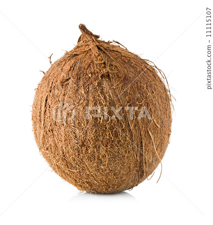 Coconut isolated on white Coconut isolated on white 11115107