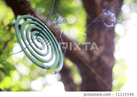 Mosquito coil hanging in the shade of the garden 11115548