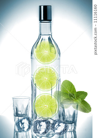 Bottle of vodka and ice cubes Bottle of vodka and ice cubes 11116160