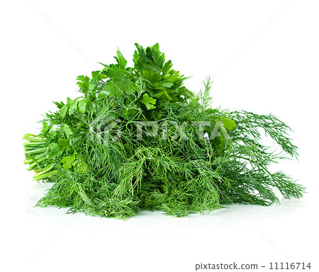 parsley, dill, bunch close up on white background 11116714