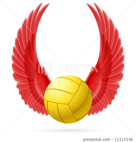 Flying ball 11117136