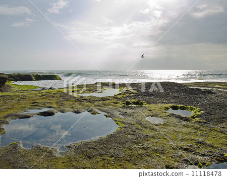 Rocky coast Rocky coast 11118478