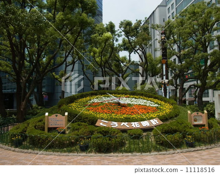 神戶花鐘 神戶花鐘 11118516