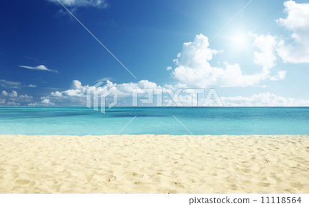 tropical beach tropical beach 11118564