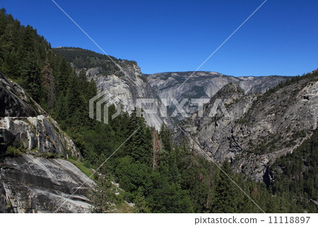 Summer Yosemite National Park Summer Yosemite National Park 11118897