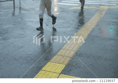rain rain 11119037