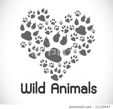 Animal foot print Animal foot print 11120447