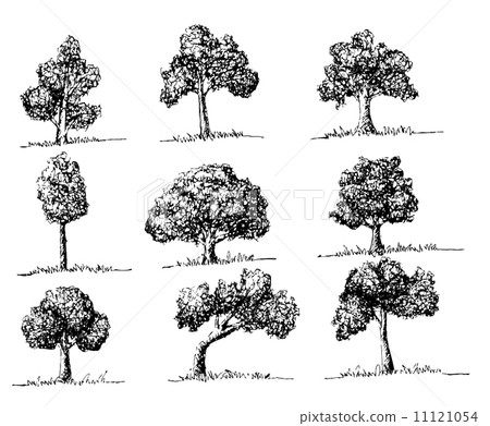Set of trees with leaves 11121054