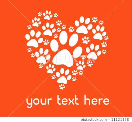 Animal foot print 11121138