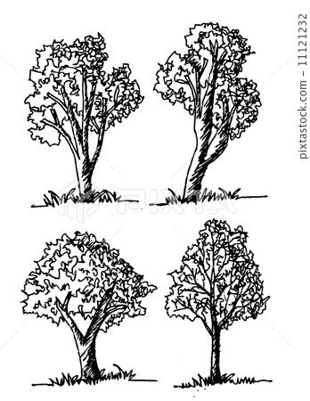 Set of trees with leaves 11121232