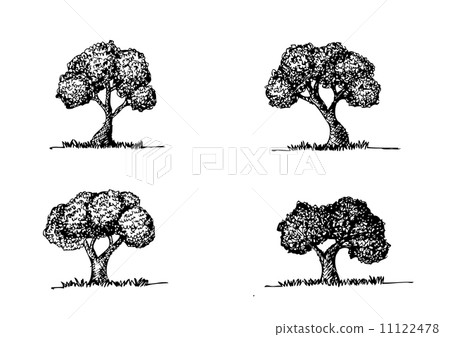 Set of trees with leaves 11122478