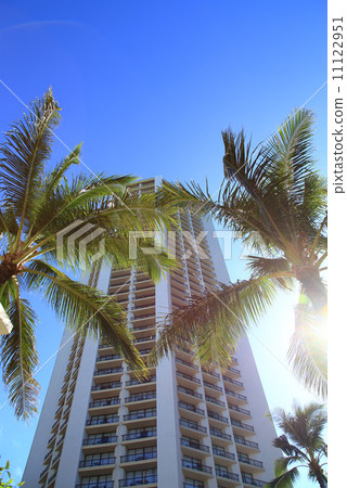 Waikiki Hyatt Regency Hotel and Palm Tree 11122951