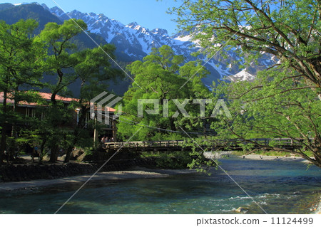 Kamikochi，新鮮的綠色 11124499