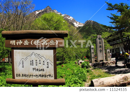 Kamikochi，新鮮的綠色 11124535