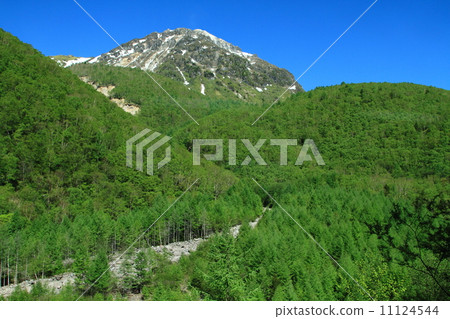 Kamikochi，新鮮的綠色 11124544