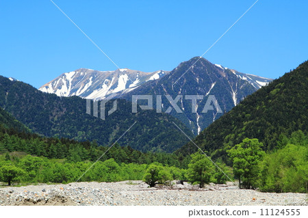 Kamikochi，新鮮的綠色 11124555