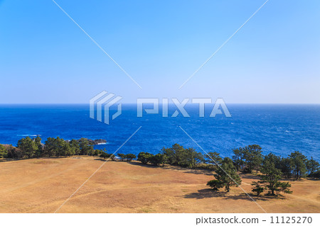 Shion Shiono / Watchtower's lawn Shion Shiono / Watchtower's lawn 11125270