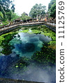 Pura Tirta Empul is a Hindu temple in the middle of Bali Island 11125769