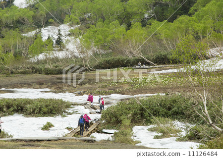 Tsugaike Nature Park 11126484