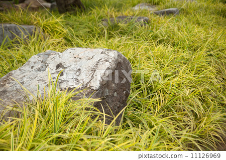 Rocks on the lawn. 11126969