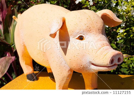 pig zodiac. pig zodiac. 11127155
