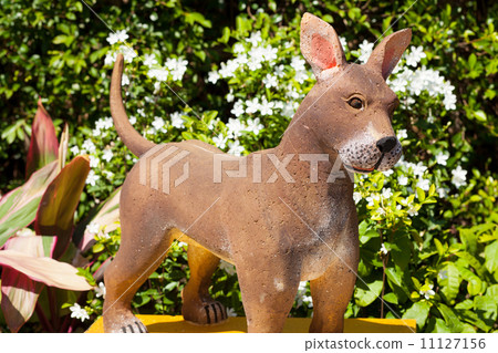 dog zodiac. dog zodiac. 11127156