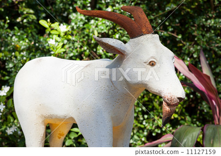goat zodiac. goat zodiac. 11127159