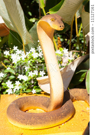 small snake zodiac. small snake zodiac. 11127161