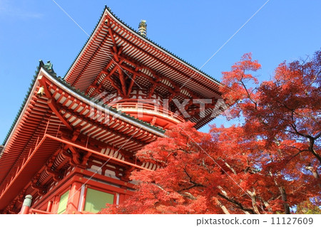 Fall of Naritamayama Peace Great Tower 11127609